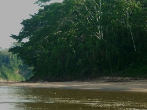 Fotografia de oz - Galeria Fotografica: mas fotos  - Foto: 