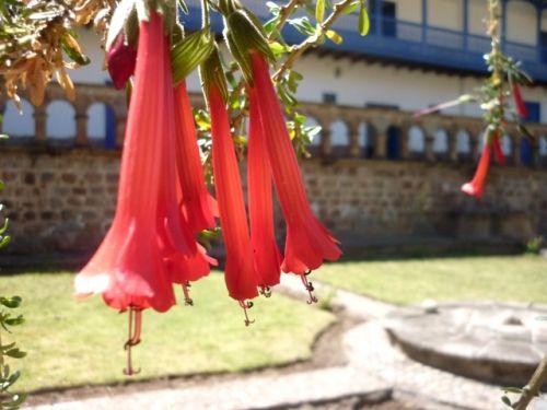 Fotografia de oz - Galeria Fotografica: mas fotos  - Foto: kantu