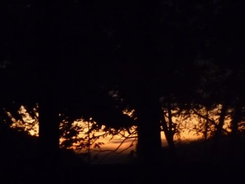 Fotografia de oz - Galeria Fotografica: mas fotos  - Foto: 