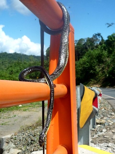 Fotografia de oz - Galeria Fotografica: mas fotos  - Foto: 