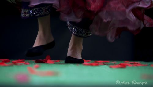 Fotografia de Ana Beneyto - Galeria Fotografica: Colores - Foto: Pies bailando