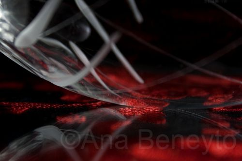 Fotografia de Ana Beneyto - Galeria Fotografica: Colores - Foto: Copa y mant�n