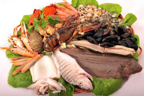 Fotografia de Jordi Miquel Fotgraf - Galeria Fotografica: Visita galeria - Foto: Plat de peix