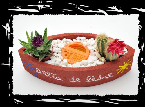 Fotografia de Jordi Miquel Fotgraf - Galeria Fotografica: Visita galeria - Foto: Cactus