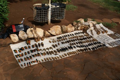 Fotografia de Sarco - Galeria Fotografica: Iguaz Falls - Foto: 