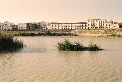 Fotografia de Rafa - Galeria Fotografica: C�rdoba - Foto: Casco antiguo