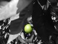 Fotos de HUGUITO -  Foto: PHOTOTUNNING - SWEET FRUIT