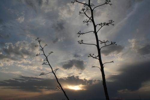 Fotografia de Fran Soriano - Galeria Fotografica: Paisajes - Foto: ocaso