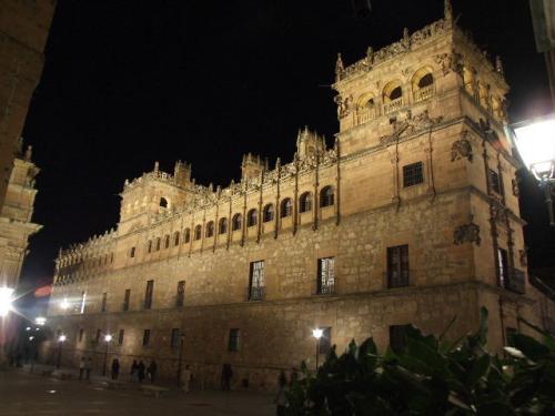 Fotografia de Emae - Galeria Fotografica: Salamanca de noche - Foto: Palacio de Monterrey