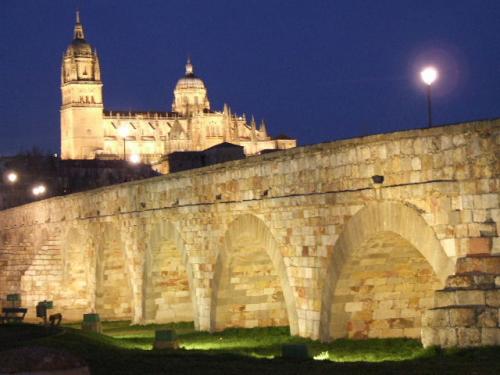 Fotografia de Emae - Galeria Fotografica: Salamanca de noche - Foto: Puente Romano y Catedral