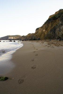 Fotografia de tur - Galeria Fotografica: Paisages ibiza - Foto: 