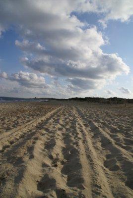 Fotografia de tur - Galeria Fotografica: Paisages ibiza - Foto: 