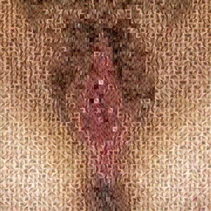 Fotografia de marcerodriguezyebra - Galeria Fotografica: IMGENES DE EVA 1 - Foto: LA MUJER COSA. TU SEXO ME PERTENECE