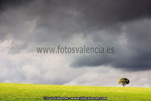 Fotografia de fotosvalencia.es - Galeria Fotografica: Portfolio - Foto: 