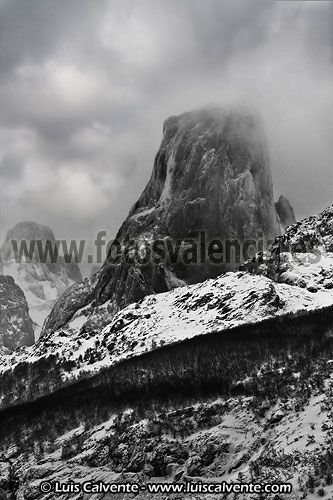 Fotografia de fotosvalencia.es - Galeria Fotografica: Portfolio - Foto: 