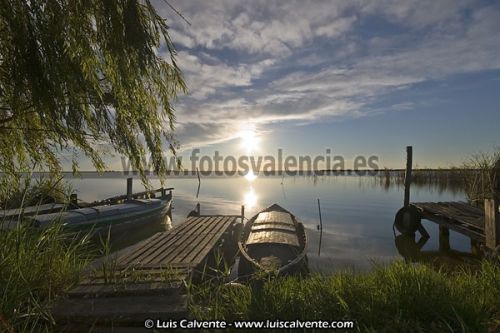Fotografia de fotosvalencia.es - Galeria Fotografica: Portfolio - Foto: 