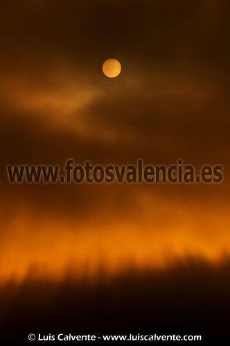 Fotografia de fotosvalencia.es - Galeria Fotografica: Portfolio - Foto: 