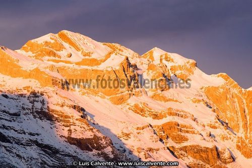 Fotografia de fotosvalencia.es - Galeria Fotografica: Portfolio - Foto: 