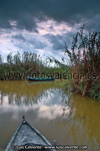 Fotografia de fotosvalencia.es - Galeria Fotografica: Portfolio - Foto: 