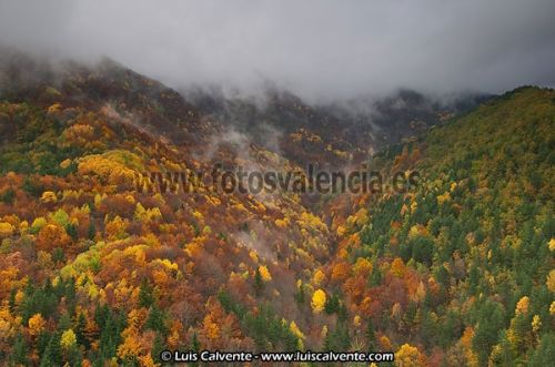 Fotografia de fotosvalencia.es - Galeria Fotografica: Portfolio - Foto: 
