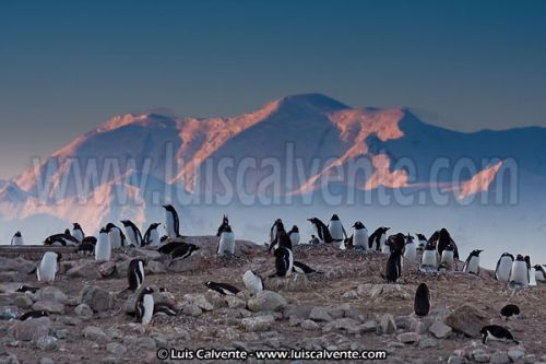 Fotografia de fotosvalencia.es - Galeria Fotografica: Portfolio - Foto: 