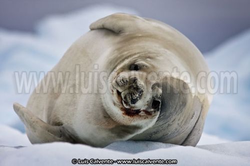 Fotografia de fotosvalencia.es - Galeria Fotografica: Portfolio - Foto: 