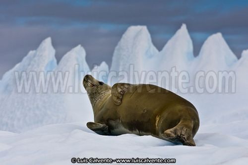 Fotografia de fotosvalencia.es - Galeria Fotografica: Portfolio - Foto: 