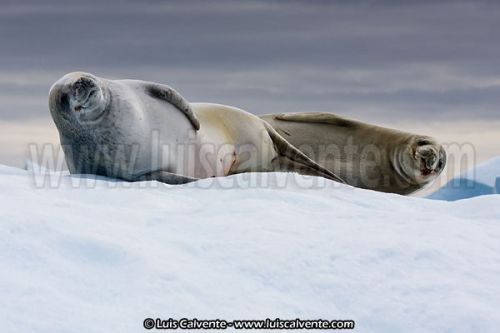 Fotografia de fotosvalencia.es - Galeria Fotografica: Portfolio - Foto: 