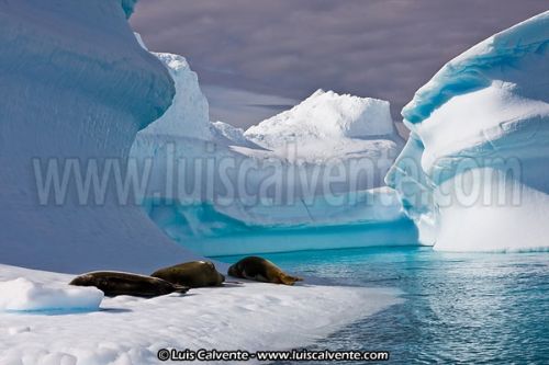 Fotografia de fotosvalencia.es - Galeria Fotografica: Portfolio - Foto: 