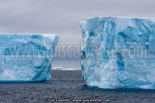 Fotografia de fotosvalencia.es - Galeria Fotografica: Portfolio - Foto: 