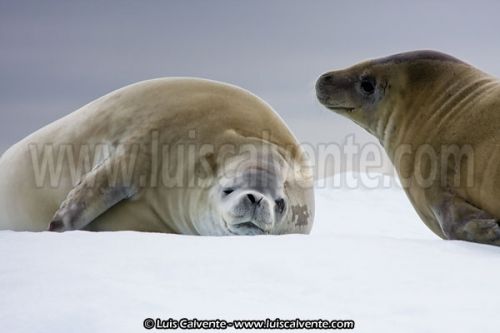 Fotografia de fotosvalencia.es - Galeria Fotografica: Portfolio - Foto: 