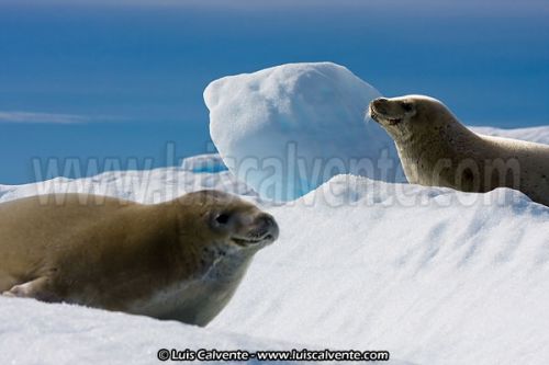 Fotografia de fotosvalencia.es - Galeria Fotografica: Portfolio - Foto: 
