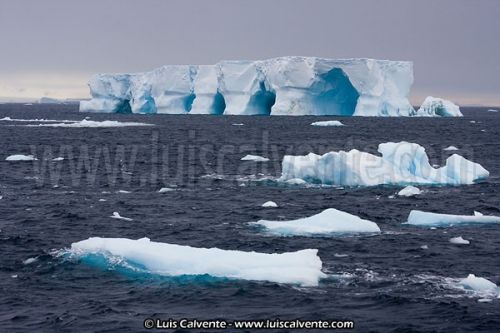 Fotografia de fotosvalencia.es - Galeria Fotografica: Portfolio - Foto: 