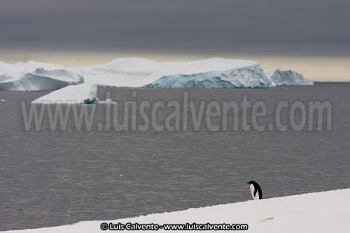 Fotografia de fotosvalencia.es - Galeria Fotografica: Portfolio - Foto: 