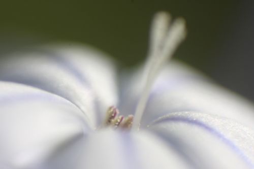 Fotografia de Decurnex - Galeria Fotografica: Porfolio Roberto Dcurnex - Foto: 