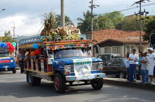 Fotografia de nerallc - Galeria Fotografica: Chivas - Foto: 