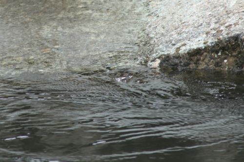 Fotografia de Bolao - Galeria Fotografica: TrasTiempo - Foto: Remolino