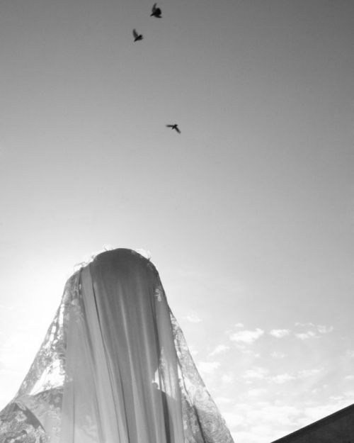 Fotografia de Bodapro - Galeria Fotografica: Fotografia de bodas - Foto: 