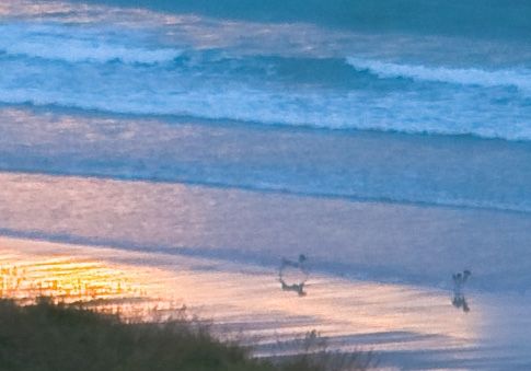 Fotografia de Gonzalo de la Serna - Galeria Fotografica: cielos - Foto: 