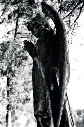 Fotografia de R.Govea - Galeria Fotografica: Between th buried and me - Foto: Beggin you