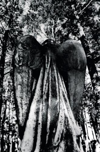 Fotografia de R.Govea - Galeria Fotografica: Between th buried and me - Foto: Load Of Sins