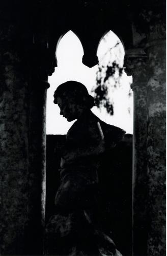 Fotografia de R.Govea - Galeria Fotografica: Between th buried and me - Foto: Walk into the path