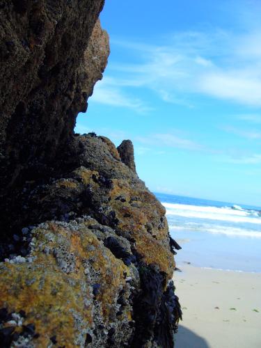 Fotografia de zian - Galeria Fotografica: GALIZA SEMPRE - Foto: 