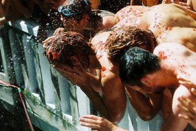 Fotografia de ana quiles - Galeria Fotografica: tomatina - Foto: 