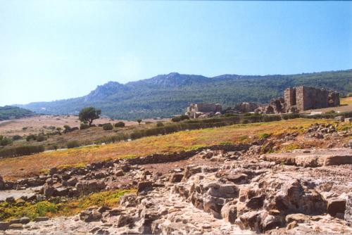 Fotografia de gomesionao - Galeria Fotografica: Baelo Claudia - Foto: 