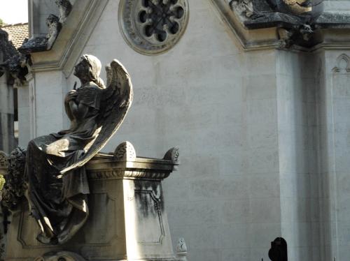 Fotografia de santi - Galeria Fotografica: Tiempo - Foto: Angel