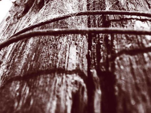 Fotografia de crearcom - Galeria Fotografica: 