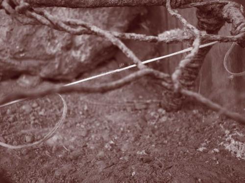 Fotografia de crearcom - Galeria Fotografica: 