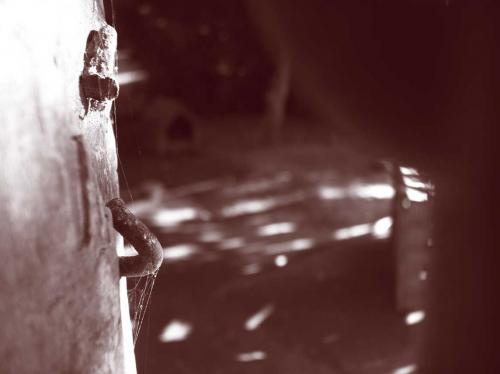 Fotografia de crearcom - Galeria Fotografica: 