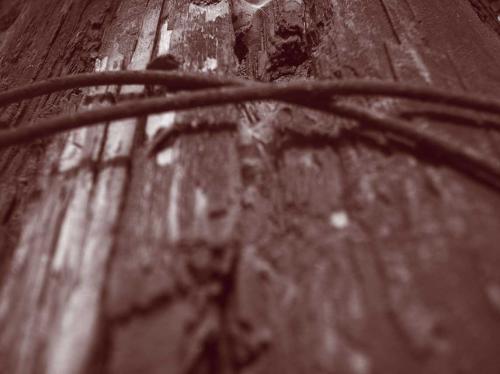 Fotografia de crearcom - Galeria Fotografica: 